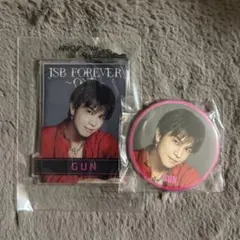 岩田剛典 クリアチャーム 缶バッジ