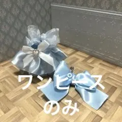 【バニラshop様 専用】ハンドメイド ぬい服 10cm 水色ワンピース