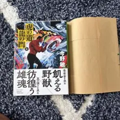 Item thumbnail for item 6e7a9b5d-4d99-4231-b2cf-cd85ce1265eb