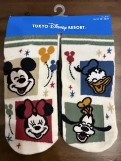 東京ディズニーリゾート キッズ靴下　2足組　 ディズニーランド