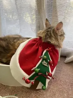 Item thumbnail for item 25bac9ca-924a-4869-af4a-f8d427b5f54c