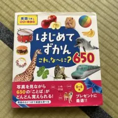 はじめてずかん 650 これ、な〜に？
