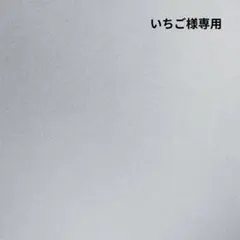 ☆いちご様専用☆ビーズ刺繍2wayブローチ…白鳥・黒鳥、トナカイ