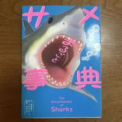 Item thumbnail for item bb16d594-8bc1-4d1b-ada2-6e3215684533