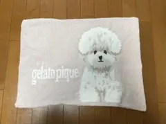 ジェラートピケ　パウダーDOG３柄ジャガードピローケース　ビションフリーゼ