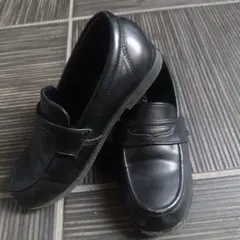 Item thumbnail for item 9a5577ac-1330-4b8c-b452-20cd3b764cb2