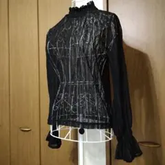 アズールバイマウジー Sサイズ 花柄シースルー レースブラウスのサムネイル