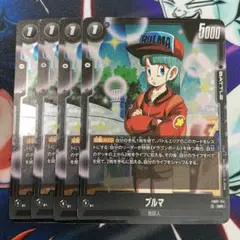 DBFW ブルマ　4枚セット