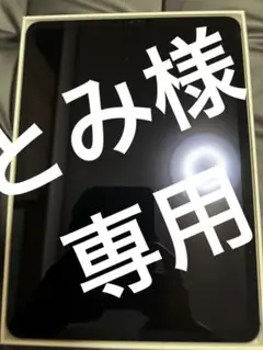 11インチiPad Pro（第2世代）128㎇