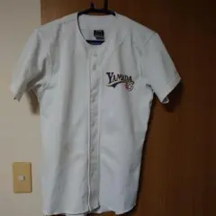 Item thumbnail for item 7d95a728-4c10-4a78-9523-0b369ffe3931