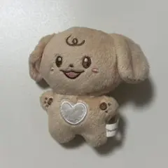 ENHYPEN ジェイク ぬいぐるみ マスター - メルカリ