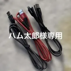 ハム太郎様専用:ライトニングUSBケーブルセット