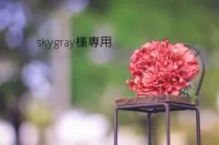 skygray様専用
