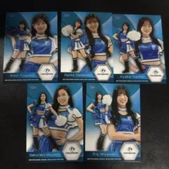 BBM チアリーダー ファイターズガール 5枚