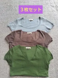 ニット 半袖 トップス 3点セット　プロポーションボディドレッシング