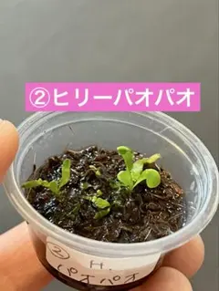 ぺこすけ様 リクエスト 2点 まとめ商品