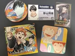ハイキュー!! ファンパーク コレクション缶バッジ 影山飛雄 名刺カード