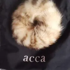 Item thumbnail for item a75321a7-f5ab-4c2e-bb2a-e49231c6cb85