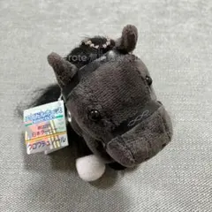 競馬 クロワデュノール 日本ダービー アイドルホース Sサイズ キーホルダー