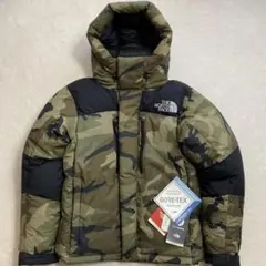 【美品】ノースフェイス ノベルティ バルトロ ライトジャケット GORE-TEX
