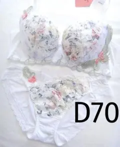 ワコール　 ルジェ　ブラジャー&ショーツ　「リボンブラ」D70-L ワコール ルジェ E70/M KO リボンブラ ソング タンガ 青 ブルー - メルカリ