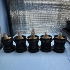 空ツバメ様 リクエスト 2点 まとめ商品