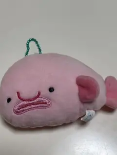 つぶらな瞳の水族館　深海魚