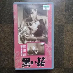 Bata 近藤真彦 武道館 1984年3月29日収録 - メルカリ