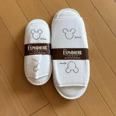 Item thumbnail for item 64eaa173-99f4-45d3-a3f1-f1b424489cd0