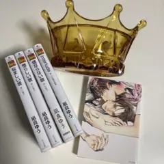 2026年最新】美しい彼 小説セットの人気アイテム - メルカリ