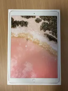 Apple iPad Pro 10.5インチ　箱と充電器のみ