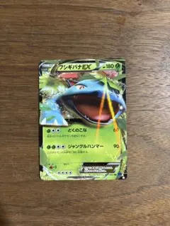 フシギバナEX RR XY BREAK コンセプトパック ポケットモンスターカ