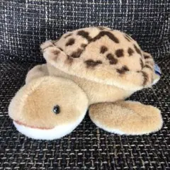Earth Wind ☆ セキグチ ウミガメ ぬいぐるみ30cm - メルカリ