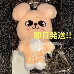 スンミン ぬいぐるみバッグ ソウル グッズ PuppyM パピー厶 runit スンミン ぬいぐるみバッグ ソウル スキズ PuppyM パピー厶 runit