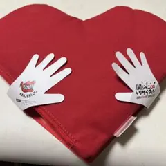 1104TM●関ジャニ∞/関ジャニ∞リサイタルお前のハートをつかんだる!!2枚組