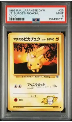 PSA7】ギザみみピチューM Lv30 プロモ 042/DPt-P 1107 - メルカリ