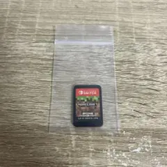 minecraft switch ソフト