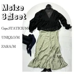 美シルエット フレアロングスカートMまとめ売りコーデ　シアーブラウス　体型カバー