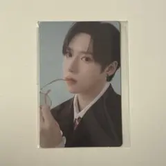 アルノ チャンジアハオ ボイプラ ALD1 トレカ