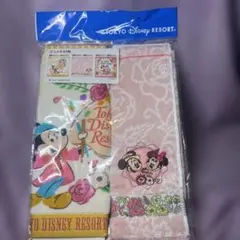 【2枚】ディズニーリゾート　ミニタオル 2枚