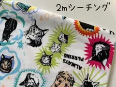 2m　ネコ　猫　un/no　シーチング　コスモ　生地　白　Y8