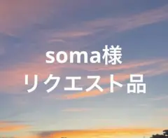 soma様 リクエスト 2点 まとめ商品