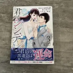 君はシンデレラ～孤高な御曹司が絶え間なく愛を注ぐ理由～【財閥御曹司シリーズ】 3