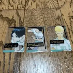 ハイキューファンパーク箔押しクリアカードコレクション　青葉城西