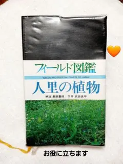 フィールド図鑑 植物１《人里の植物》植物図鑑 野草
