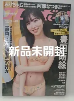 (新品)週刊プレイボーイ 2024年6月3日号