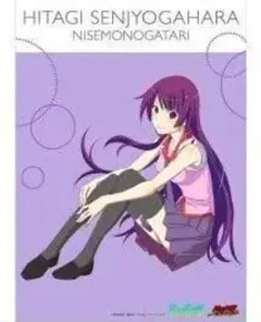 化物語 タペストリー 物語シリーズ B2タペストリー 怪異ver、蕩ver、全員集合ver 化