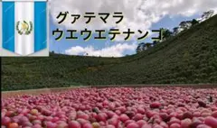 もなか様専用！5種類、各200g合計1000gコーヒー生豆！焙煎してません