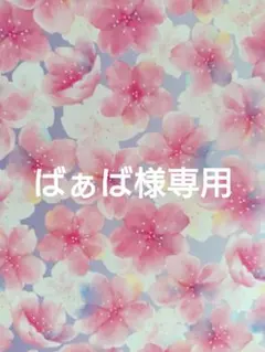 ばぁば様専用ページ