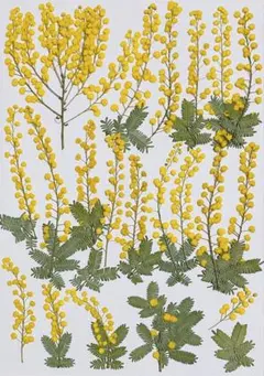 ＊yoshiyuki＊様 リクエスト 3点 まとめ商品